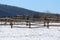 Snowy horse ranch fence and snow filled corral