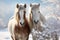 Snowy horses create a picturesque scene on a snowy backdrop