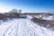 Snowy and ice winter landscape at the Amsterdamse Waterleidingduinen