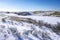 Snowy and ice winter landscape at the Amsterdamse Waterleidingduinen