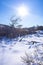 Snowy and ice winter landscape at the Amsterdamse Waterleidingduinen