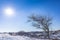 Snowy and ice winter landscape at the Amsterdamse Waterleidingduinen