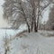 Snowy January morning in Nevsky forest Park. The Bank of the riv