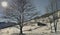 snowy landscape in alpine mountains with trees and chalet under blue sky