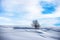 Snowy Landscape with a Lonely Bare Tree - Lessinia Plateau Veneto Italy