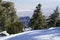 Snowy landscape on Mount San Jacinto