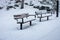Snowy landscape. The park two benches covered with white thick snow. Winter day