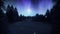 Snowy Landscape with Stars and Aurora Loop Motion Background