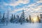 Snowy landscape at sunset, frozen trees in winter in Saariselka, Lapland Finland