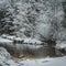 Snowy Latvian winter forest