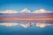 Snowy Licancabur volcano in Andes montains reflecting in the wate of Laguna Chaxa with Andean flamingos, Atacama salar Chile