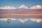 Snowy Licancabur volcano in Andes montains reflecting in the wate of Laguna Chaxa with flamingos, Atacama salar, Chile