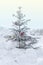 A snowy little fir tree with Christmas balls. Winter frost tree.