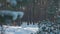 Snowy meadow in winter forest with sun shining in the morning. Wide shot lawn in sunlight outdoors with no people. Slow