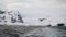 Snowy mountain landscapes with icebergs in the ocean at Antarctica.