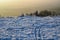 Snowy mountain meadow, tree and hill silhouette on background