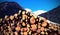 Snowy mountain with the pile of cut logs with snow