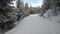 snowy mountain road surrounded by trees