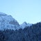 Snowy Mountainous Alpine Pine Forest