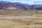 Snowy Mountains Brumbies View near Thredbo in Australia