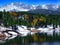 Snowy mountains and forest