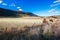 Snowy Mountains Landscape in Australia