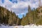 Snowy mountains and trees