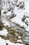 Snowy Mountainside, Steamy Water, Camouflaged Snow Monkeys