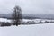 Snowy north Bohemia wooded Landscape, Jizerske Mountains, Czech Republic