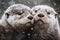 Snowy Otter Family Cuddling in Extreme Close-Up. Perfect for Greeting Cards and Posters.