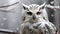 Snowy owl (Bubo bubo) in winter forest