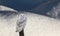 Snowy Owl on Fence Post