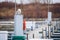 Snowy Owl Harbourmaster At Toronto Marina