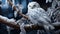 Snowy owl perching on branch, looking at camera in winter generated by AI