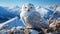 Snowy owl perching on branch, looking at camera in winter generated by AI