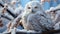 Snowy owl perching on branch, looking cute in winter generated by AI