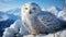 Snowy owl perching on branch, majestic beauty in nature generated by AI