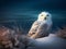 Snowy Owl\\\'s Solitude: Ghost of the Arctic Tundra