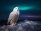 Snowy Owl\\\'s Solitude: Ghost of the Arctic Tundra