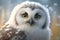 Snowy Owl (Strix aluco). Wildlife animal.