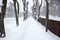 Snowy path in an alley