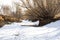 Snowy Path in Dried Creek Bed