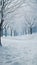 a snowy path lined with trees and snow