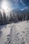 Snowy path to the winter shelter in the mountains