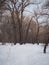 Snowy Pathway through a deciduous forest.