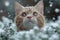 Snowy paws Cats and dogs exploring snowy landscapes with curiosity