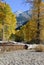 Snowy Peak and Autumn Cottonwoods