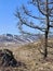 Snowy peaks of the mountain of the southern ural ridge Nature backgrounds Road Early Spring Forest steppe