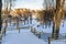 Snowy Photo of the Park on a Sunny Winter day - Wooden Footpath in the Middle of it, Concept of the Harmony and Travel