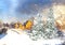 Snowy pine trees in small town street countryside winter Christmas Nature landscape    panorama
